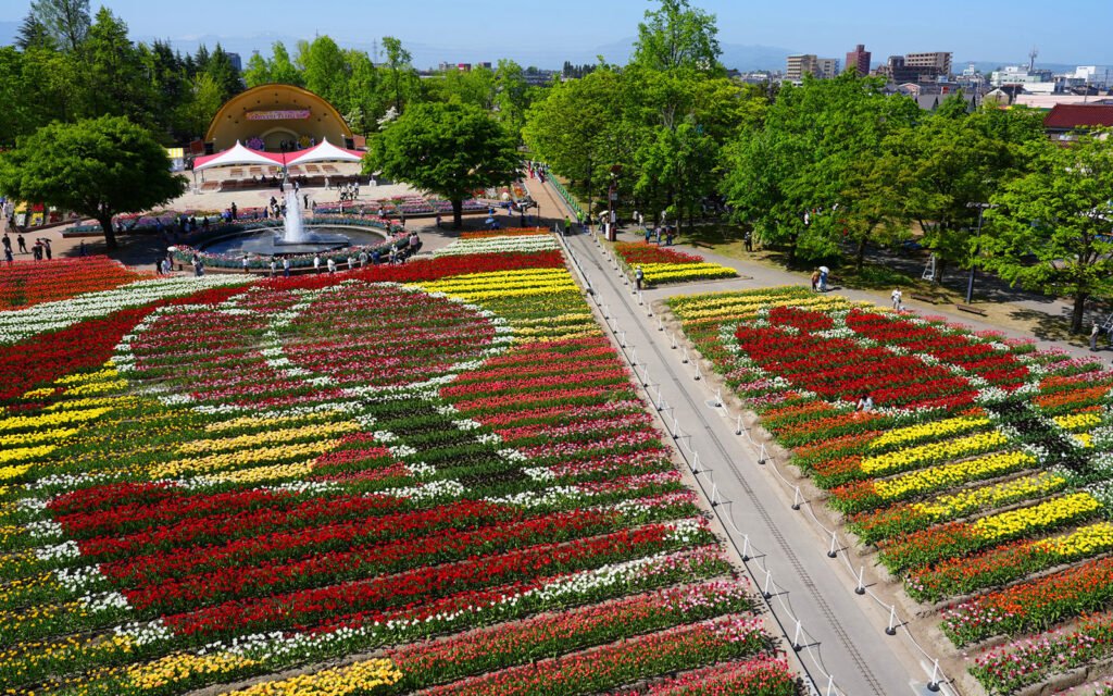 🌷 도나미 튤립 공원(도나미 튤립 코엔) 이미지 4
